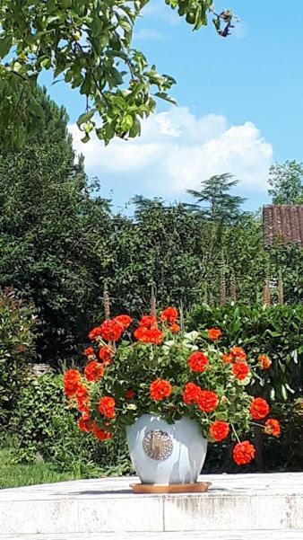 Le Mazet D'Olt Bed & Breakfast Altillac Luaran gambar